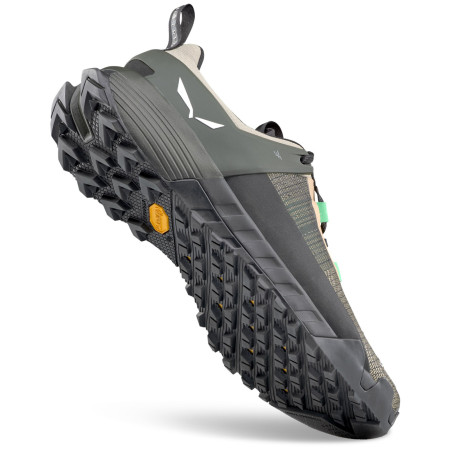 Muška obuća Salewa Wildfire Nxt M