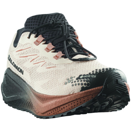 Muške cipele Salomon Aero Blaze 4 Grvl Gtx