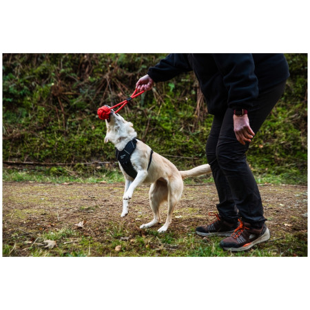 Igračka za psa Mountain Paws Ball Chew Rope Dog Toy