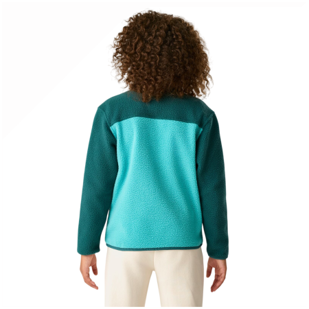 Dječja funkcionalna dukserica Regatta Junior Frankie Warm Fleece Mediterranea/Turquoise