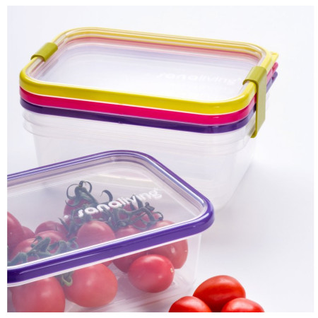 Kutija za hranu Omada Sanaliving Box Set 3x 19x14x9cm/1,3L