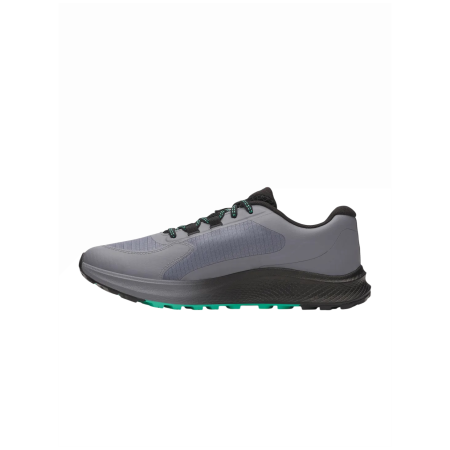 Muške cipele Under Armour Charged Bandit TR 3