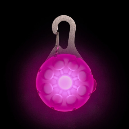 Svjetleća ogrlica za psa Nite Ize SpotLit Rechargeable Collar Light