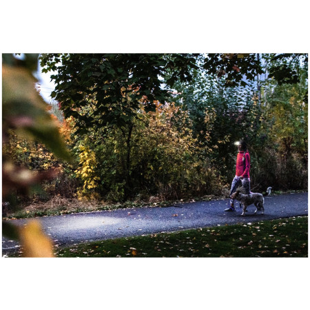 Čeona svjetiljka Ledlenser HF4R Core