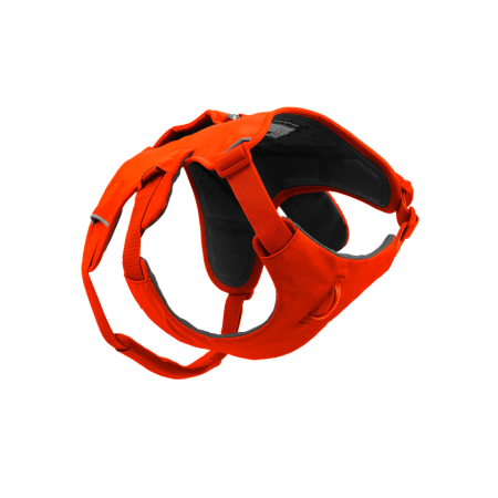 Ogrlica za psa Ruffwear Web Master™ Harness