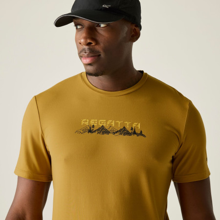 Muška majica Regatta Fingal Stretch