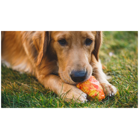 Igračka za psa Ruffwear Gnawt-a-Cone™ Toy