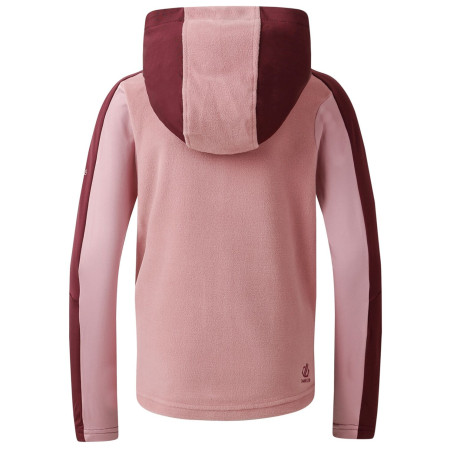 Dječja funkcionalna dukserica Dare 2b Thriving IV Core Stretch