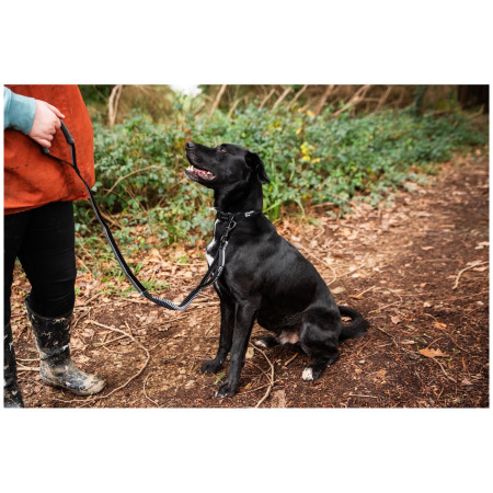 Povodac s amortizerom Mountain Paws Stretch Dog Lead