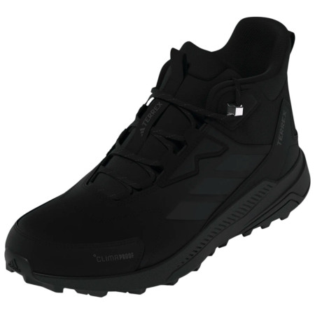 Muške cipele za planinarenje Adidas Terrex Anylander Leather Mid Climaproof