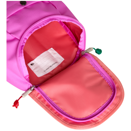 Dječji ruksak The North Face Y Mini Explorer