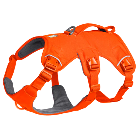 Ogrlica za psa Ruffwear Web Master™ Harness