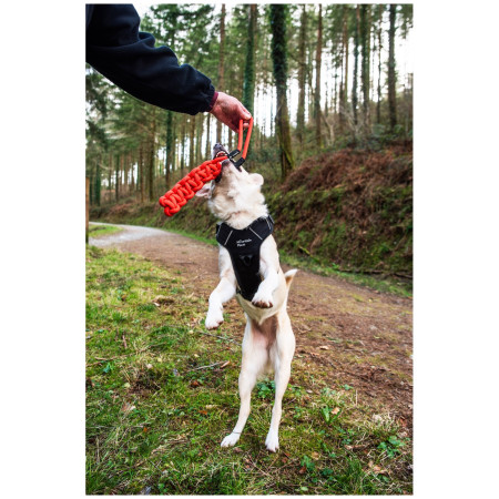 Igračka za psa Mountain Paws Braided Chew Rope Dog Toy