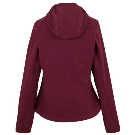 Ženska jakna Regatta Wmns Arec III