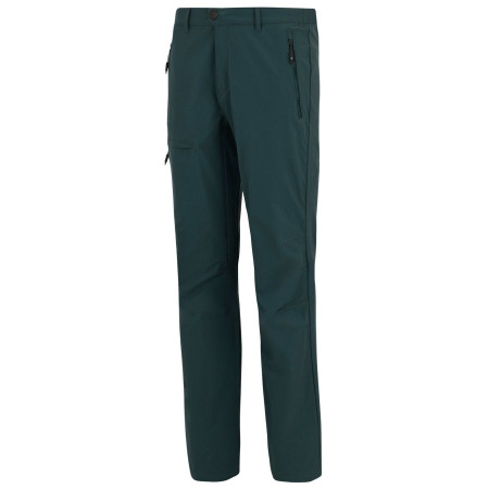Muške hlače Regatta Highton Trousers II