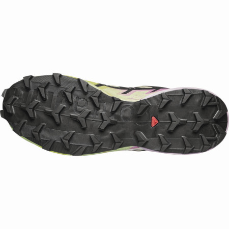 Ženske cipele Salomon Speedcross 6 Gore-Tex
