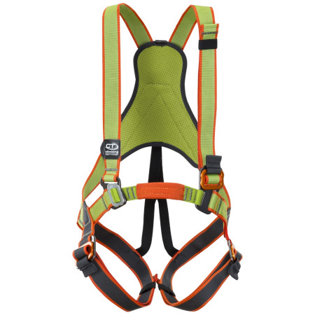 Dječji pojas za cijelo tijelo Climbing Technology Jungle Harness zelena Green/Gray