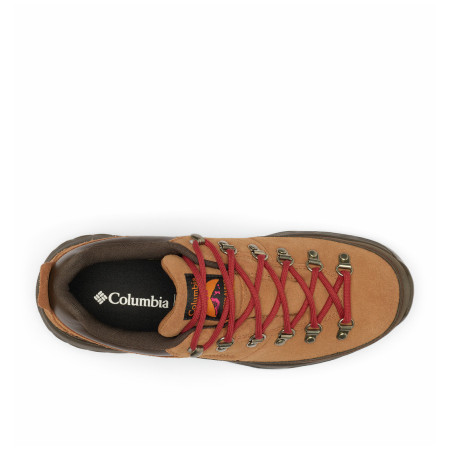 Muške cipele Columbia Newton Alpine™ Low