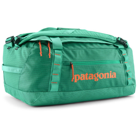 Putna torba Patagonia Black Hole Duffel 40L