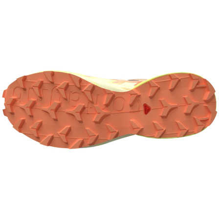 Ženske tenisice za trčanje Salomon Speedcross 6