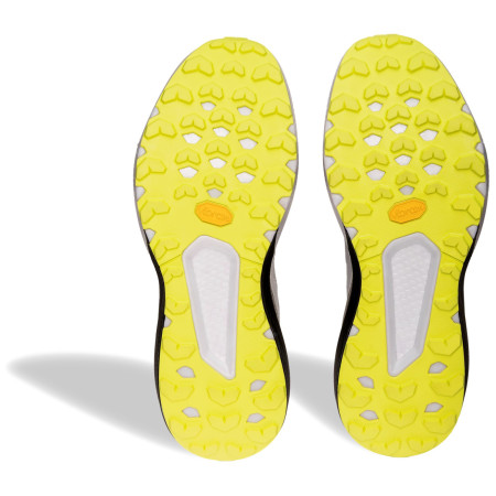 Muške tenisice za trčanje Dynafit Trail