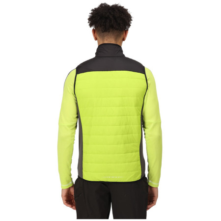 Muški prsluk Regatta Halton BW VI