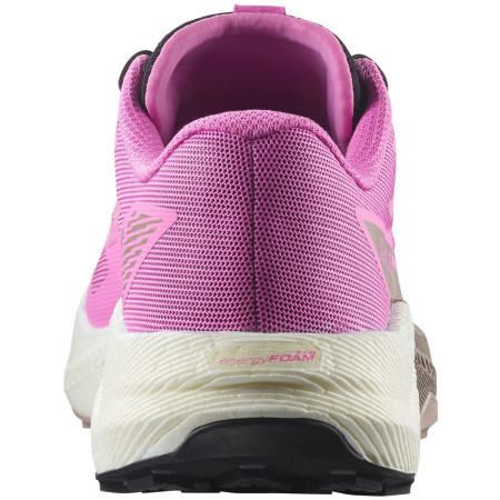 Ženske cipele Salomon Pulsar