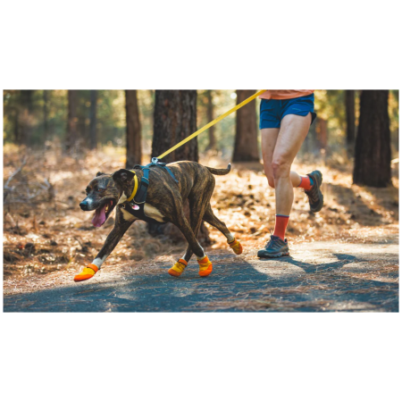 Cipele za psa Ruffwear Summit Trex™ Shoes