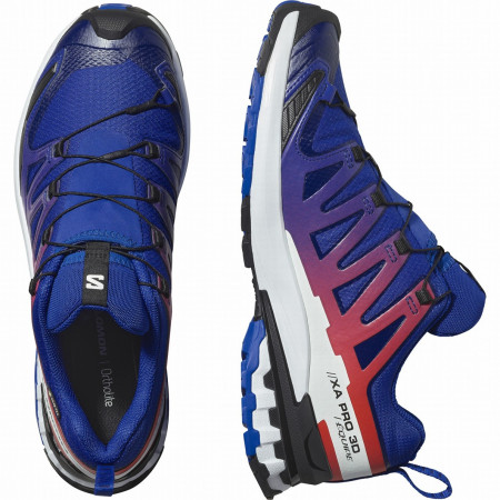Muška obuća Salomon Xa Pro 3D V9 Gore-Tex Equipe