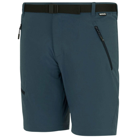 Muške kratke hlače Regatta Xert Stretch Shorts