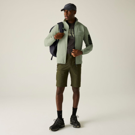 Muška dukserica Regatta Baslinn