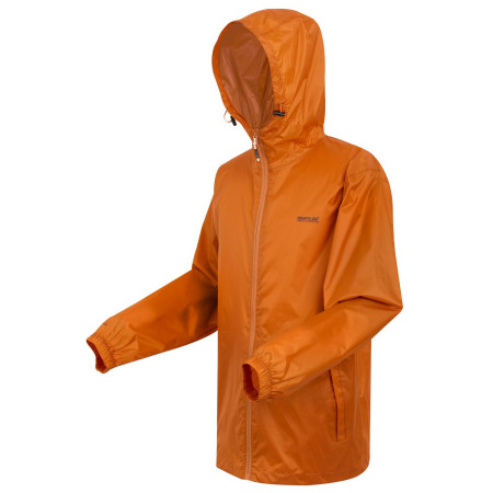 Muška jakna Regatta Pack It Jkt III
