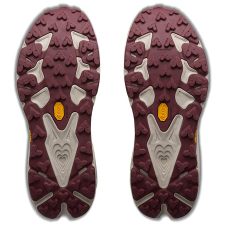 Muške cipele Hoka Speedgoat 7 Hike GTX