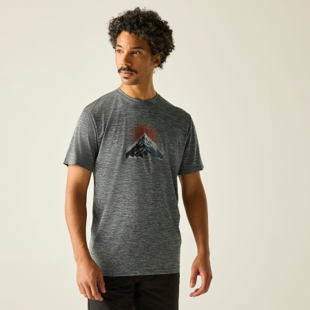 Muška majica Regatta Fingal