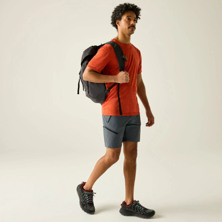 Muške kratke hlače Regatta Xert Stretch Shorts