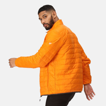 Muška jakna Regatta Hillpack