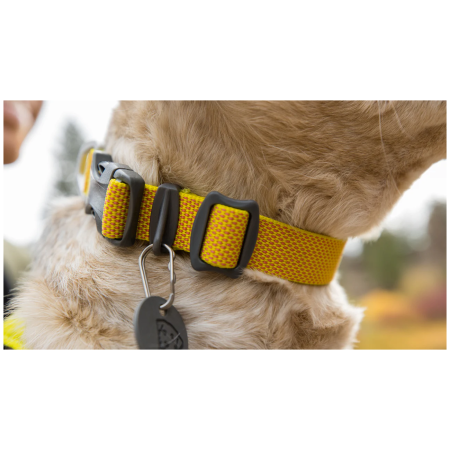 Ogrlica za psa Ruffwear Hi & Light™ Collar