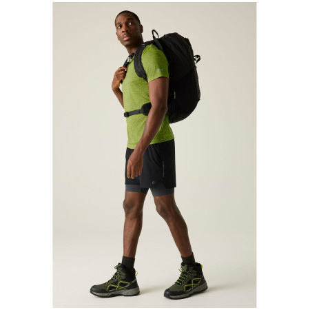 Muška majica Regatta Fingal Edition