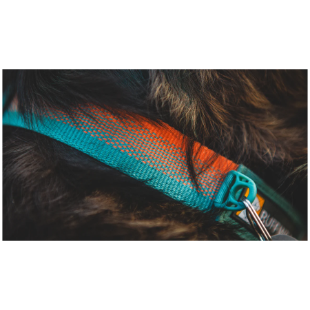 Ogrlica za psa Ruffwear Front Range™ Collar