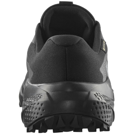 Muška obuća Salomon Alphaglide Gore-Tex