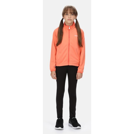 Dječja dukserica Regatta Jnr Highton LteII