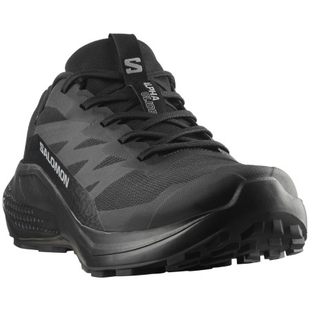 Muška obuća Salomon Alphaglide Gore-Tex