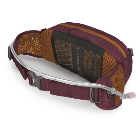 Torbice oko struka Osprey Seral 4