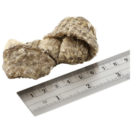 Poslastice za pse Fish4Dogs Dental Sea Jerky Fish Knots 100g