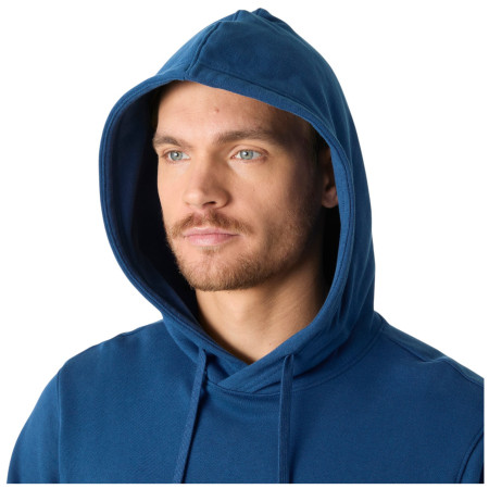 Muška dukserica Helly Hansen HH Logo Hoodie
