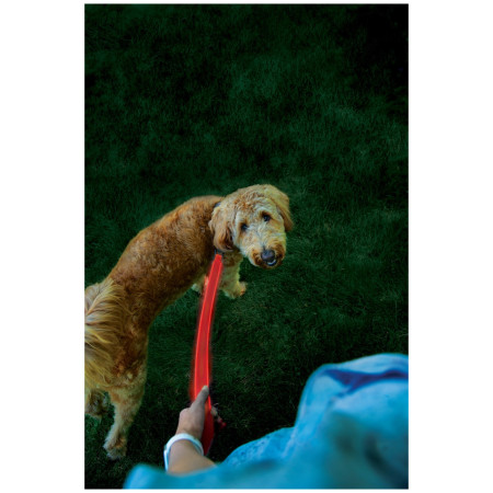Povodac za psa Nite Ize LED NiteDog