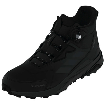 Ženske planinarske cipele Adidas Terrex Anylander Leather Mid Climaproof