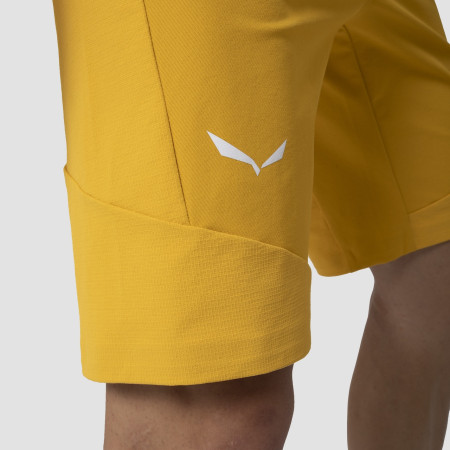 Muške kratke hlače Salewa Agner Dst M Shorts.