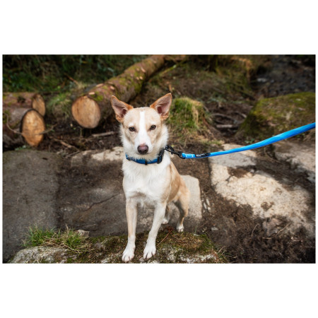 Povodac za psa Mountain Paws Waterproof Dog Lead