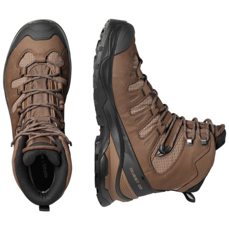 Muške cipele Salomon Quest 5 Gore-Tex